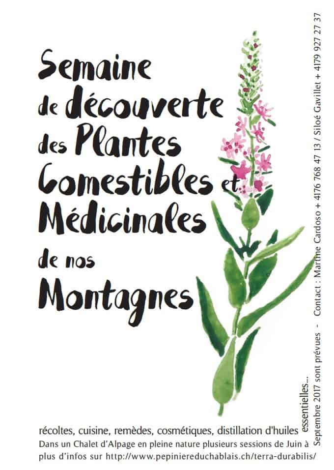 au-jardin-d-hildegarde